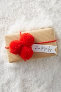 2016 Holiday Gift Guide