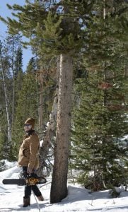 A Snowy Christmas Tree Adventure - roomfortuesday.com