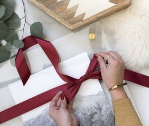 2017 HOLIDAY GIFT GUIDE