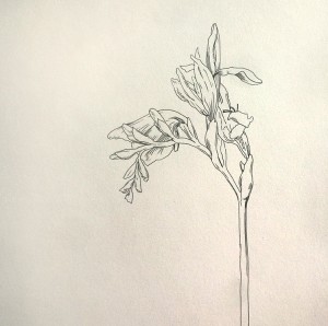 Artist Spotlight : Andy Johnson