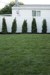 Backyard Landscaping Design