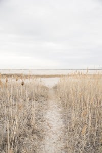 Weekend Travels : Antelope Island