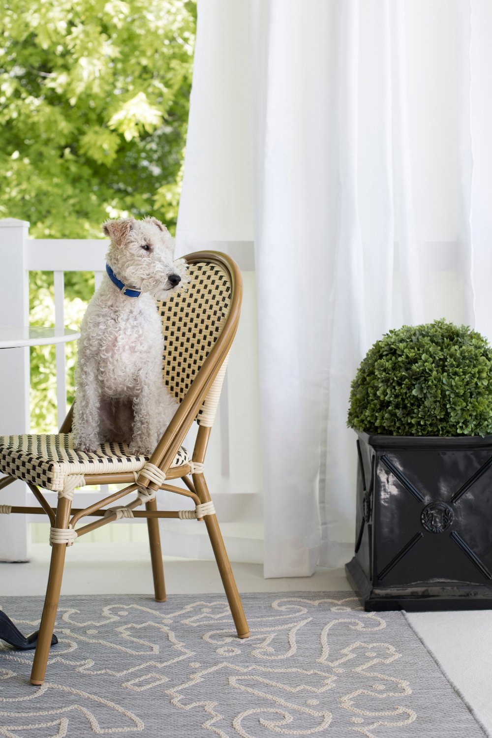 Classic Planters for Every Aesthetic and Budget - roomfortuesday.com