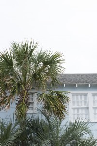 Carolina Beach & Beach House Exteriors