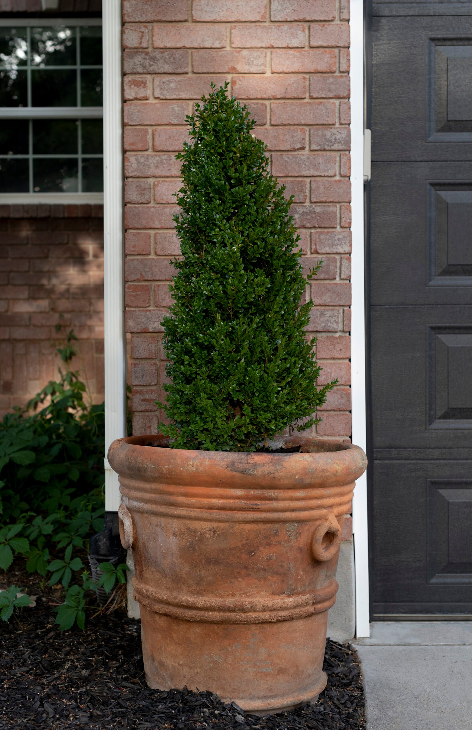 Boxwood topiary in large, oversized terracotta planter flanking black garage doors on a brick Colonial home.