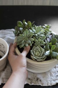 Repurposing a Candle Into A Succulent Planter - roomfortuesday.com