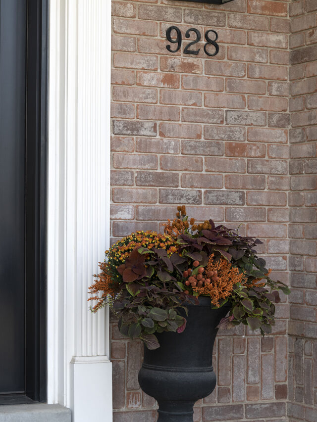 How to Create Beautiful Porch Planters for Fall - roomfortuesday.com