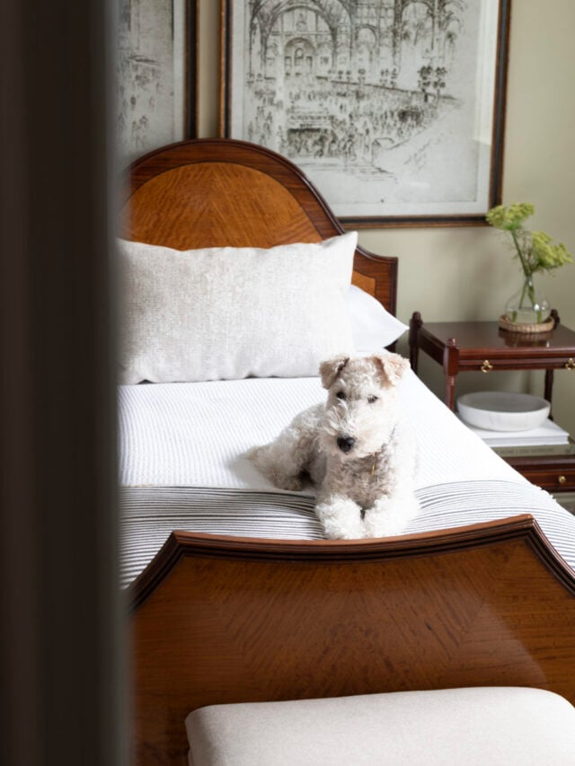 Timeless Furniture Finds from Wayfair (Designer Capsule Picks) - roomfortuesday.com