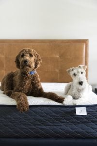 Upgrading Our Mattress - roomfortuesday.com