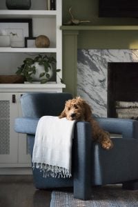 Amazon Finds : Chairs - roomfortuesday.com