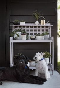 Color of the Month : Planting Station DIY - roomfortuesday.com