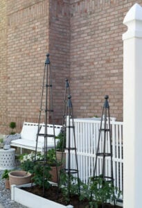 Gardening with the Phases of the Moon: Lunar Planting Guide - roomfortuesday.com