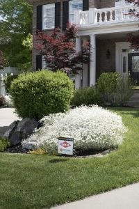 How We Keep Our Outdoor Areas Mosquito Free - roomfortuesday.com