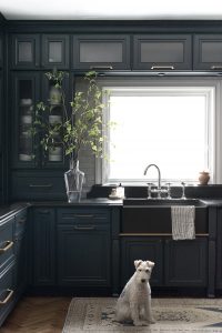 My 2021 Prime Day Picks - roomfortuesday.com