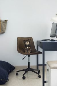 National Painting Week Humane Society Makeover - roomfortuesday.com