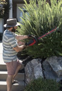 Our Lawn Care & Landscaping Routine (+ a Printable Checklist) - roomfortuesday.com