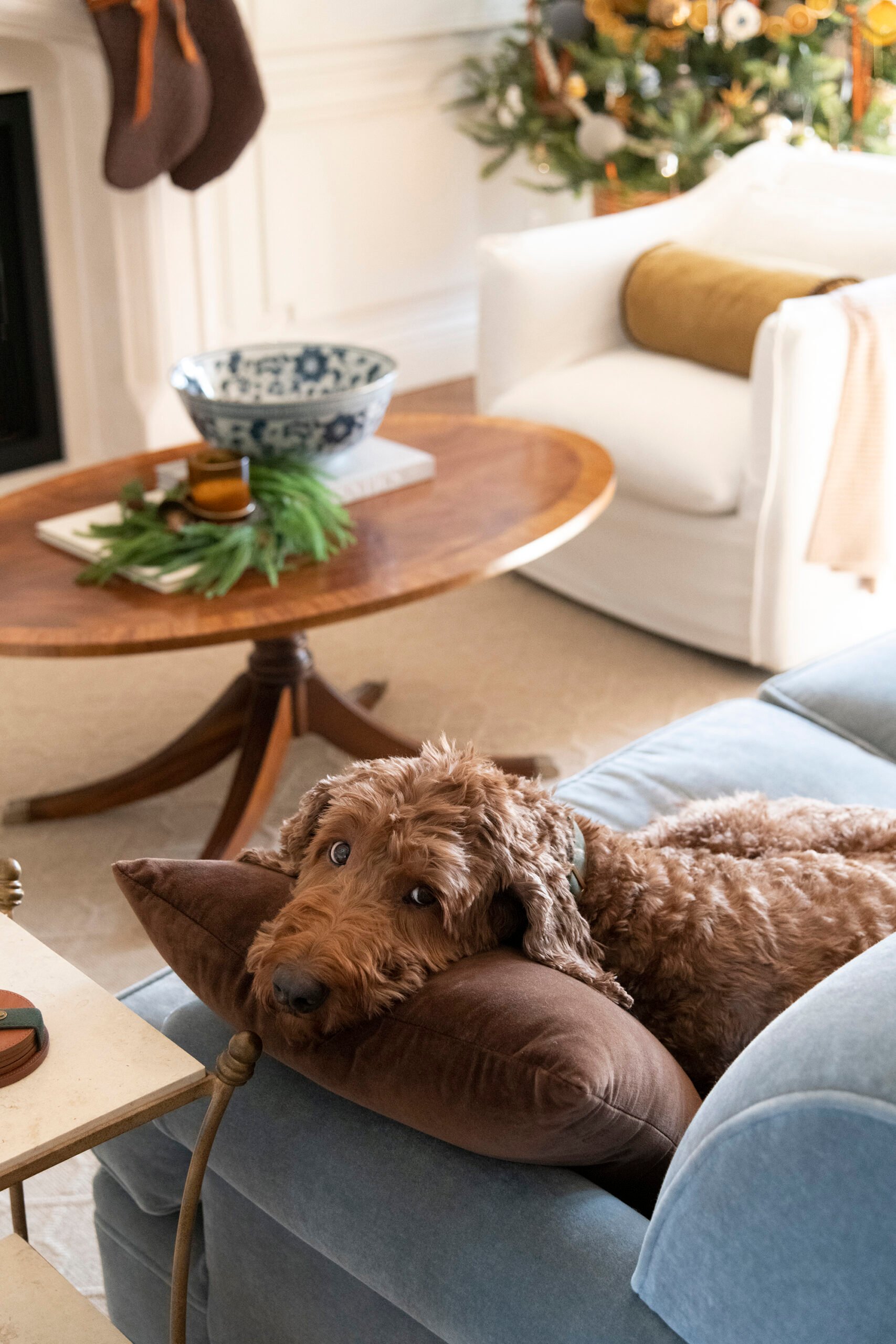 Christmas Tour: the Holiday Decorated Living Room - roomfortuesday.com