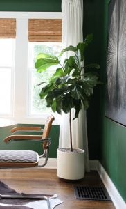 Roundup : Faux Plants & Greenery - roomfortuesday.com