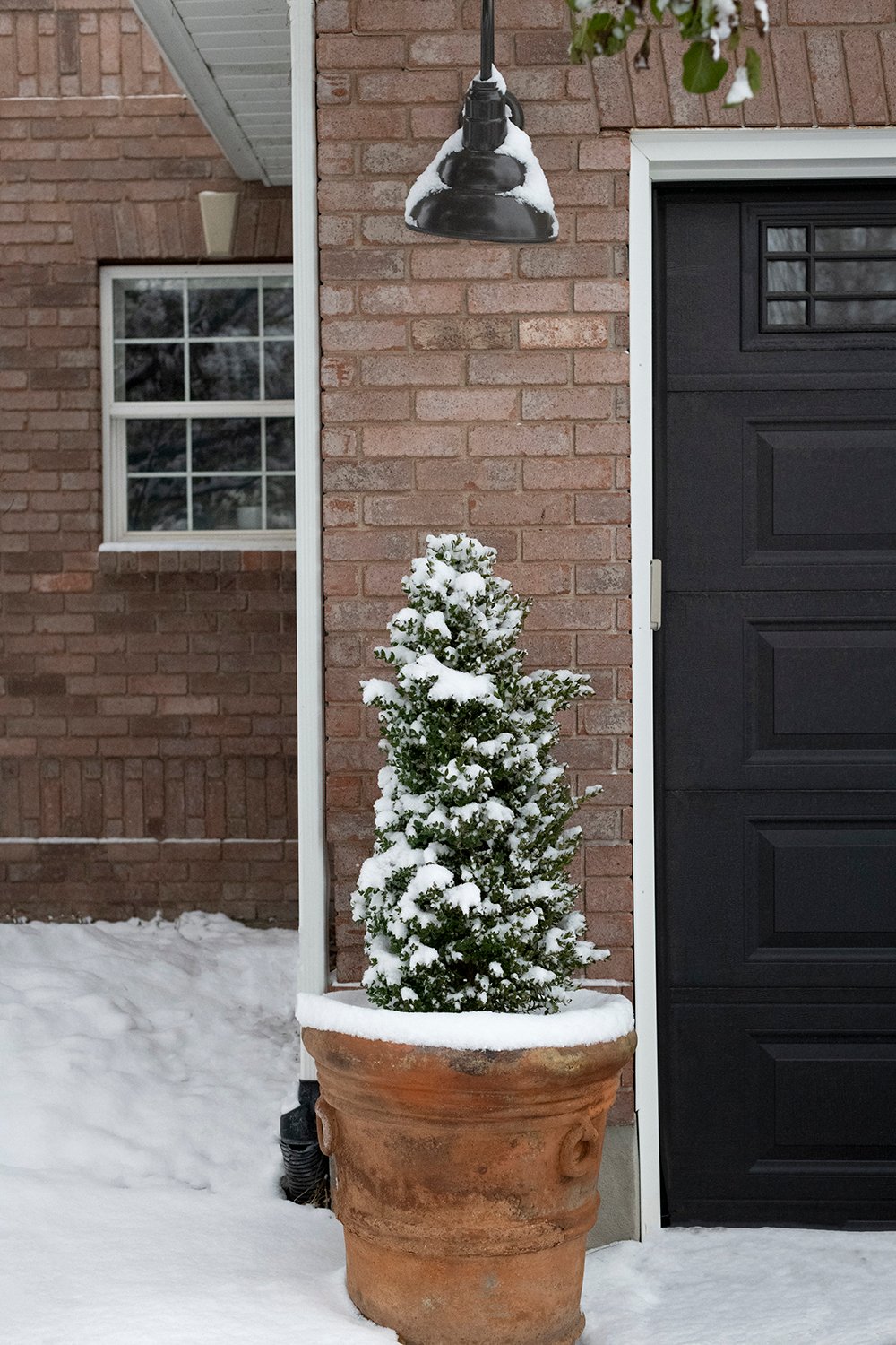 Snowy boxwood in terracotta planter next to garage door and brick exterior of colonial home. 