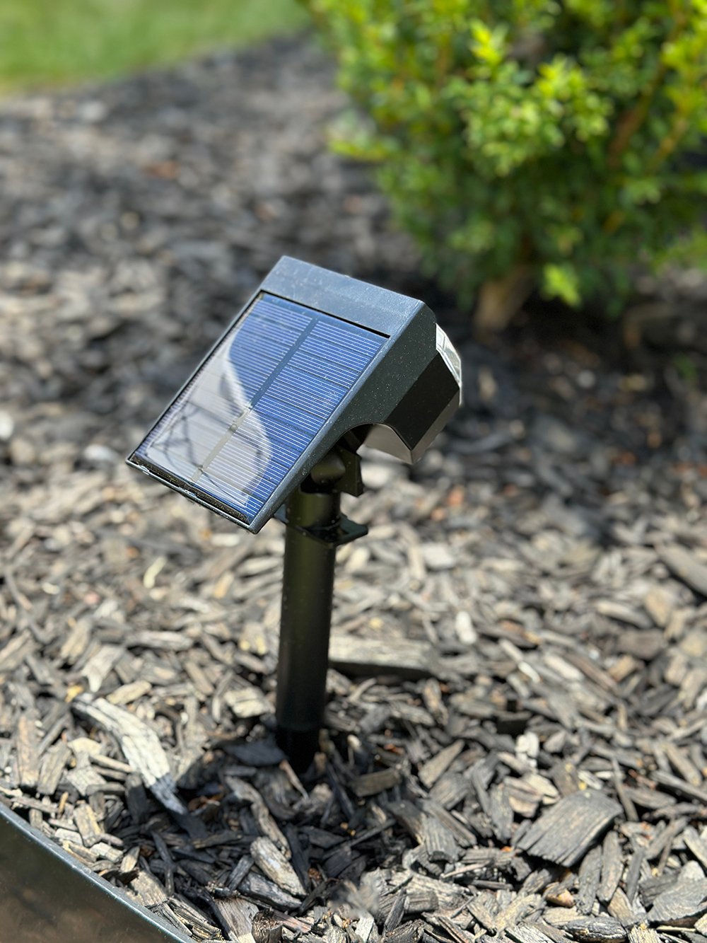 Where to Install Outdoor DIY Solar Landscape Lighting - roomfortuesday.com