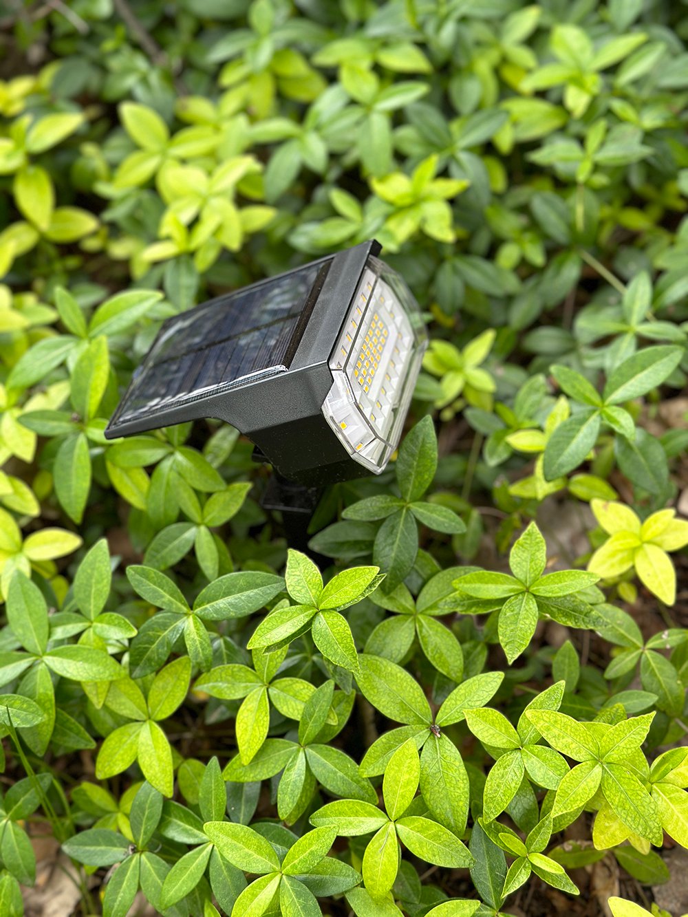 Where to Install Outdoor DIY Solar Landscape Lighting - roomfortuesday.com