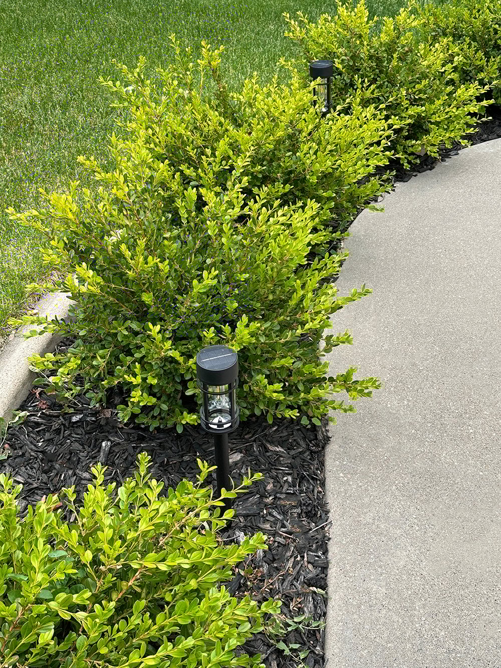 Where to Install Outdoor DIY Solar Landscape Lighting - roomfortuesday.com