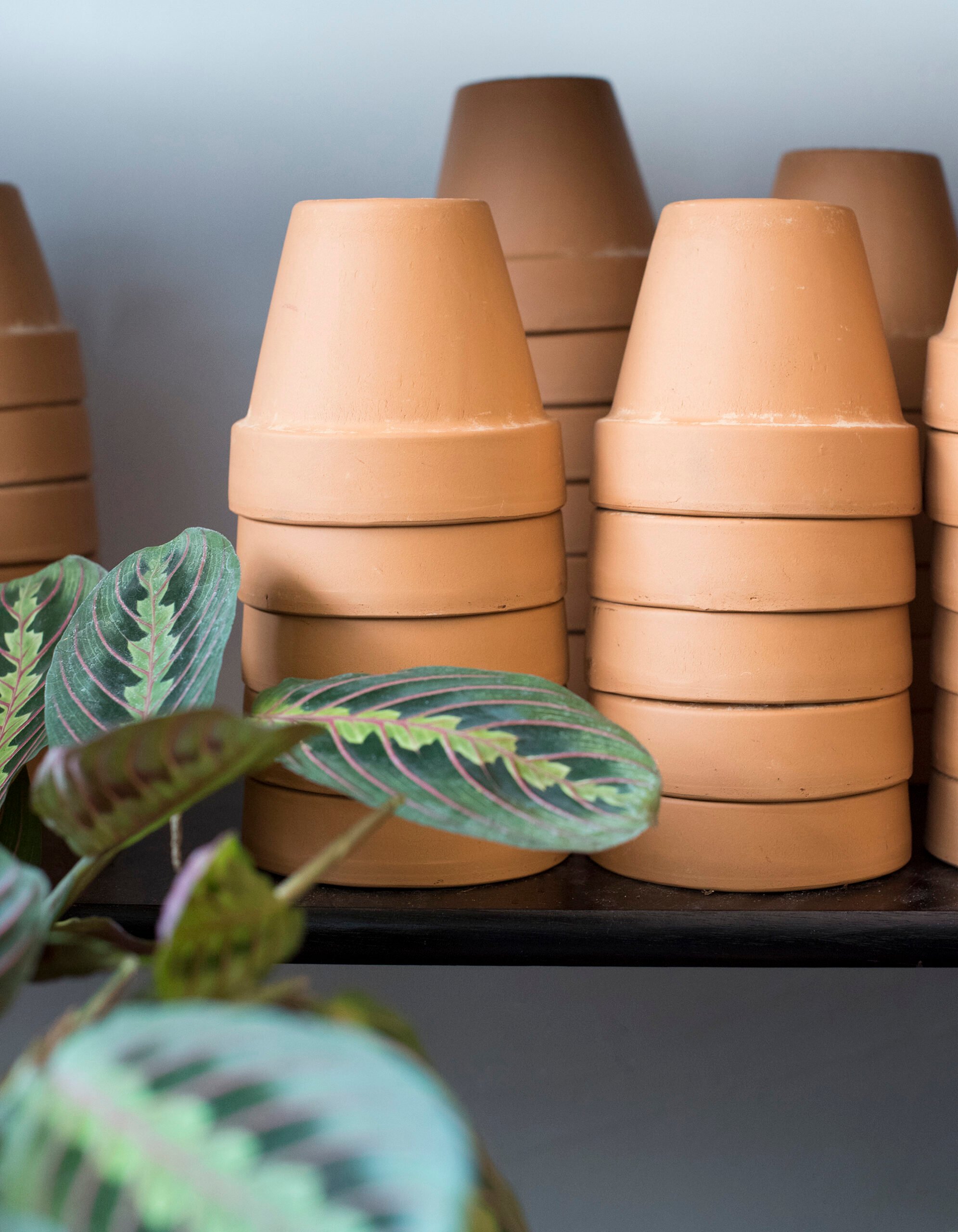 Stacks of terracotta planters
