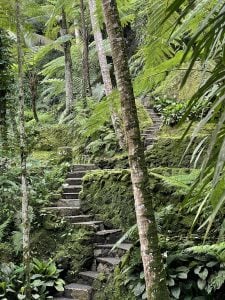 Diving & Jungle Adventures in Indonesia