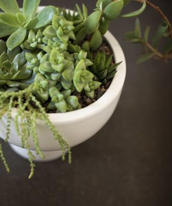 Pedestal Planter DIY