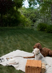 25 Most Loved Summer Items from Amazon - roomfortuesday.com