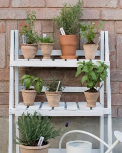 Terraced stacked herb garden with neatly displayed and labeled herbs in terracotta planters