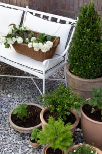 Classic Planters for Every Aesthetic and Budget - roomfortuesday.com