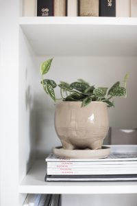 Amazon Finds : Planters for Spring - roomfortuesday.com