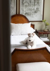 Timeless Furniture Finds from Wayfair (Designer Capsule Picks) - roomfortuesday.com