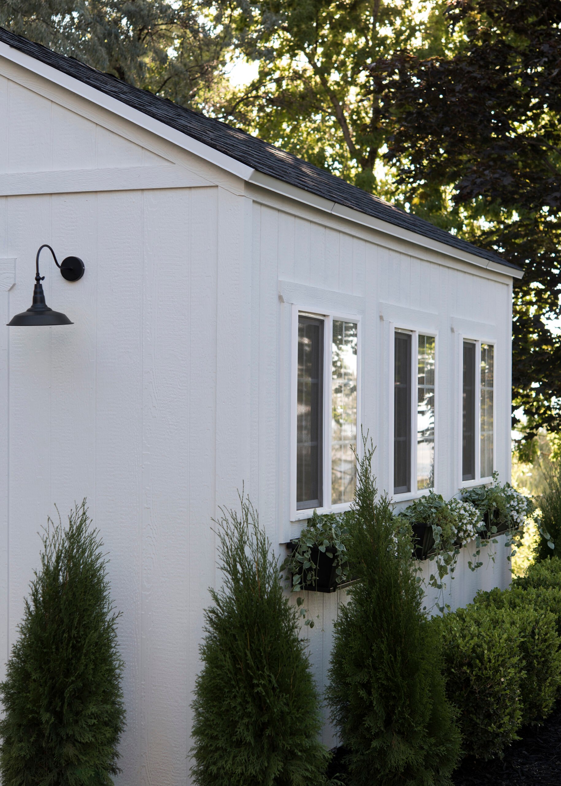 Exterior of white storage shed lined with boxwood landscaping, window flower boxes, and black outdoor sconce.