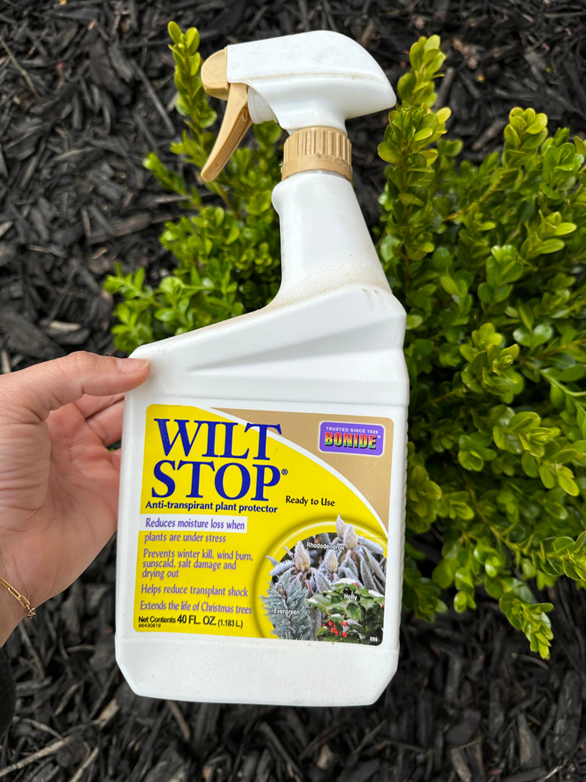 Bottle of Wilt Stop, a plant protector that helps to lock moisture in for boxwoods and other landscaping plants in dry climates. 
