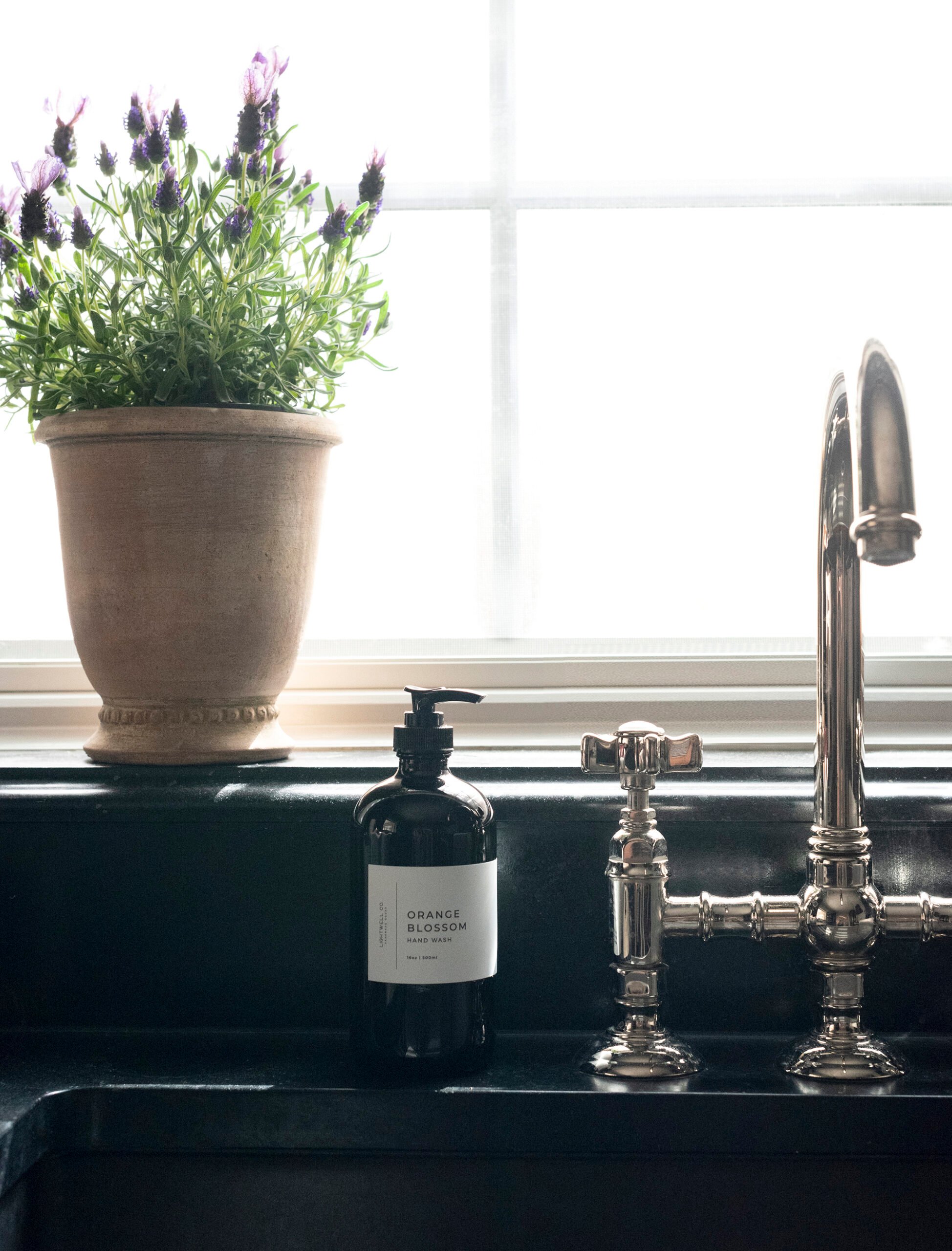 Window sill lavender plant in terracotta planter with polished nickel kitchen sink faucet