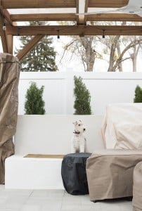 Winterizing the Backyard